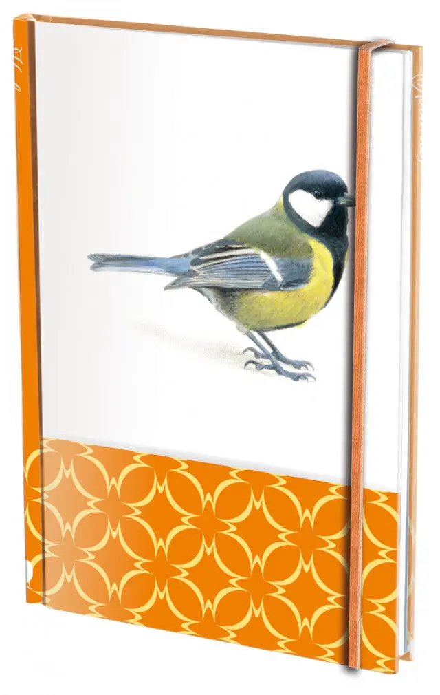 Miniatuur 1