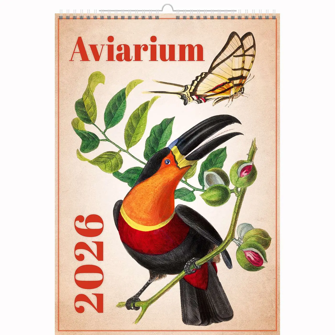 Miniatuur 1