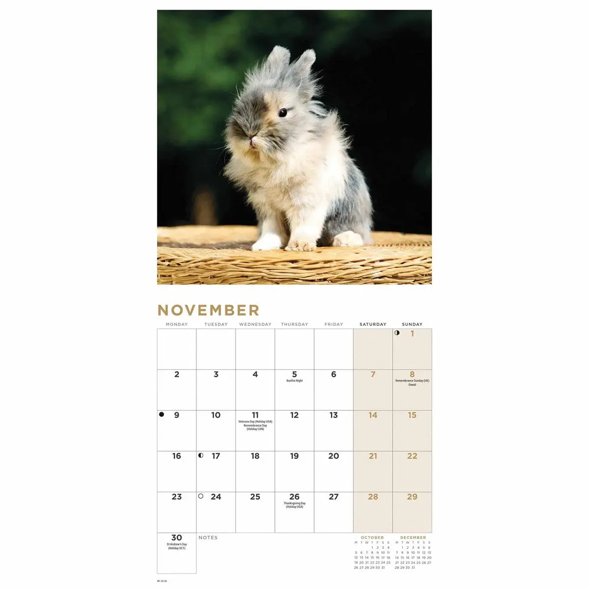 Miniatuur 2