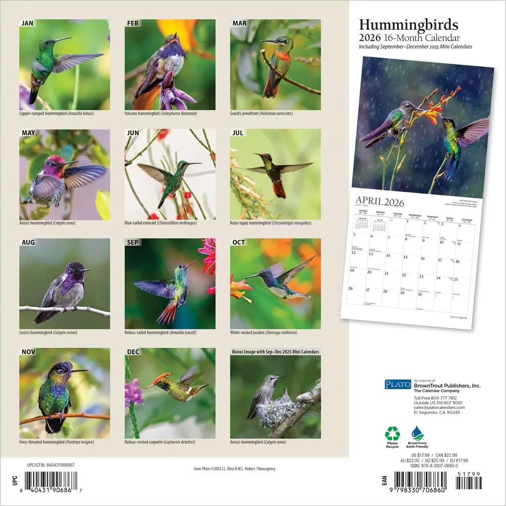 Miniatuur 2