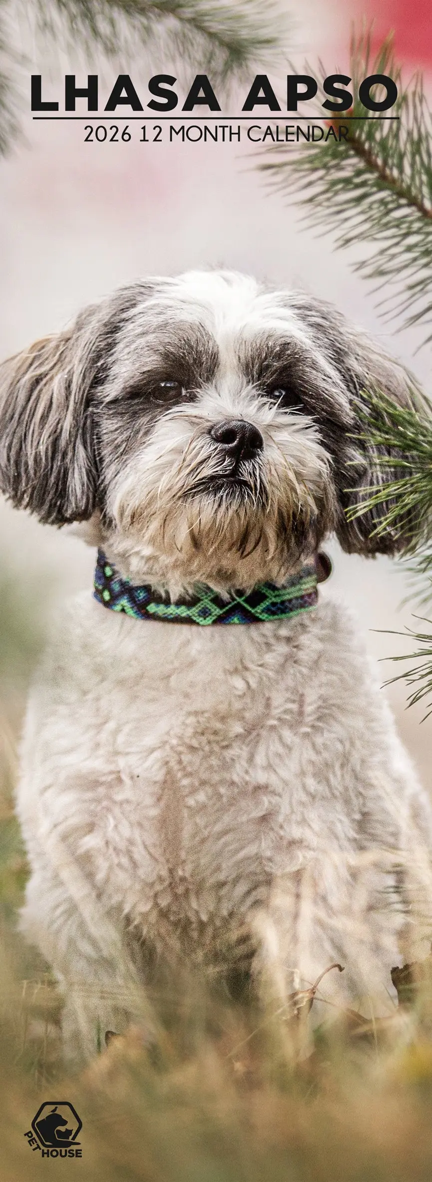 Miniatuur 1