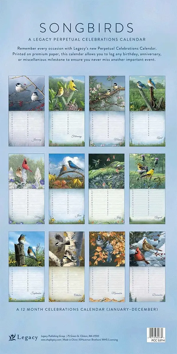 Miniatuur 2
