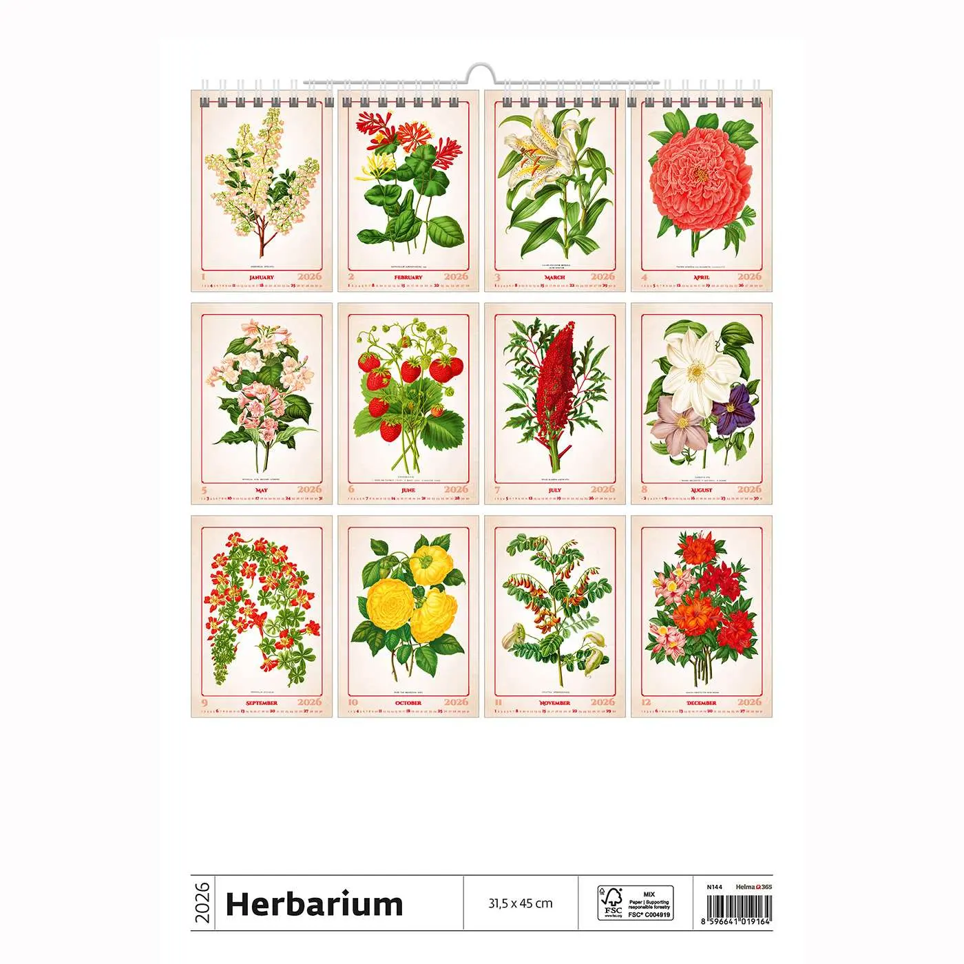 Miniatuur 2