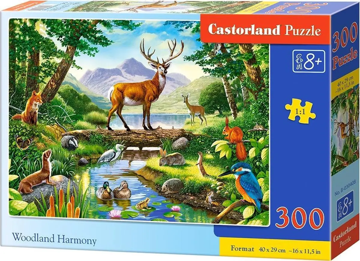 Miniatuur 1